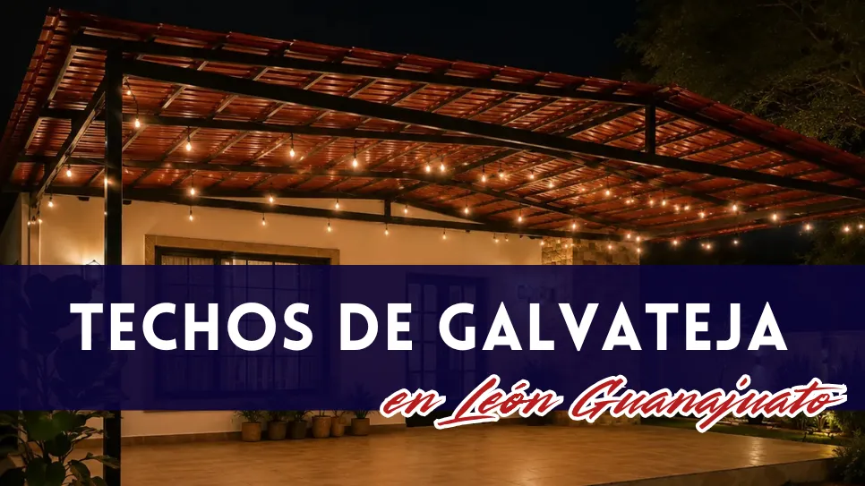 HERRERÍA LEÓN GUANAJUATO